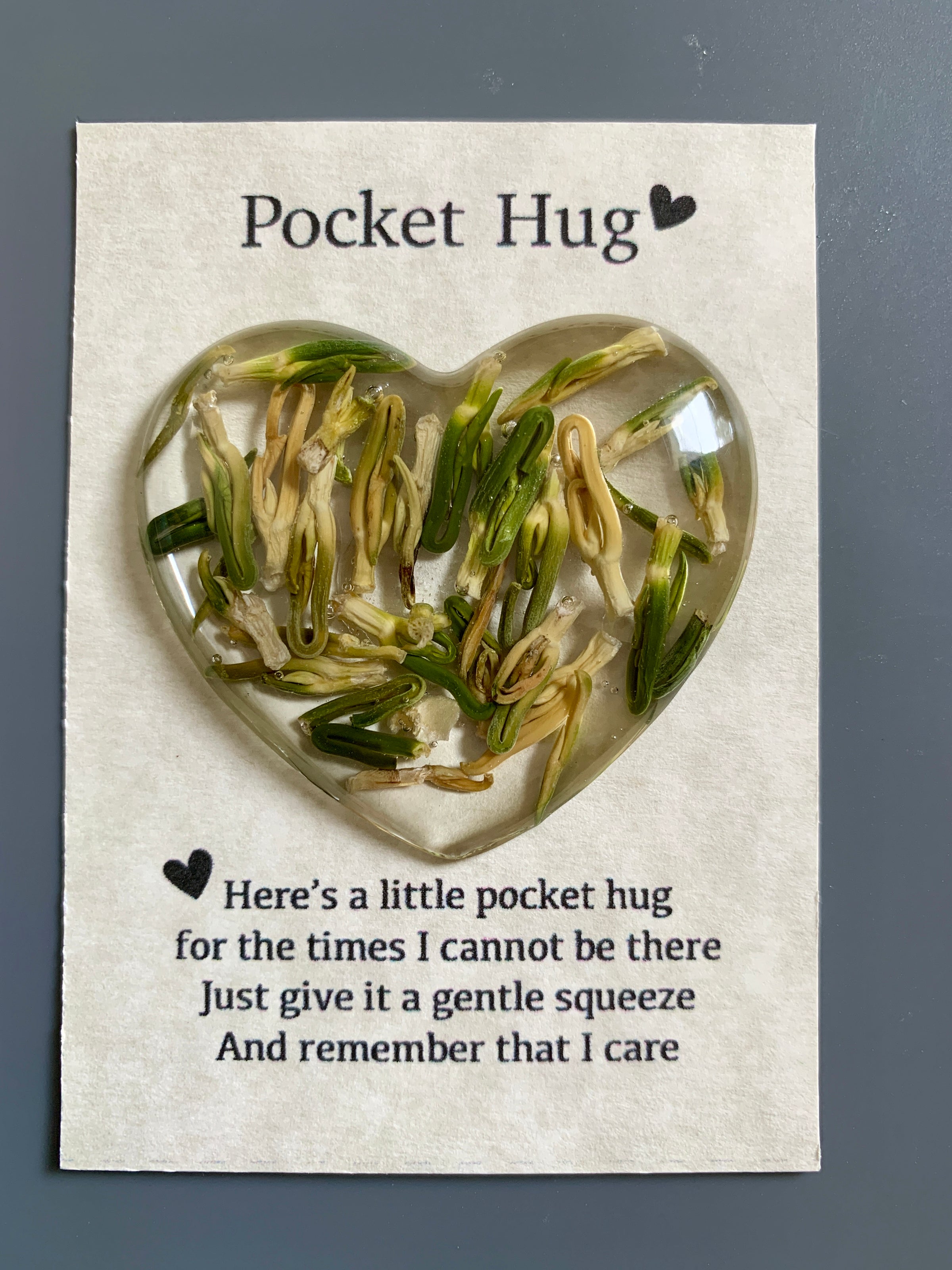 Gentle Squeeze Pocket Hugs | Holly Central
