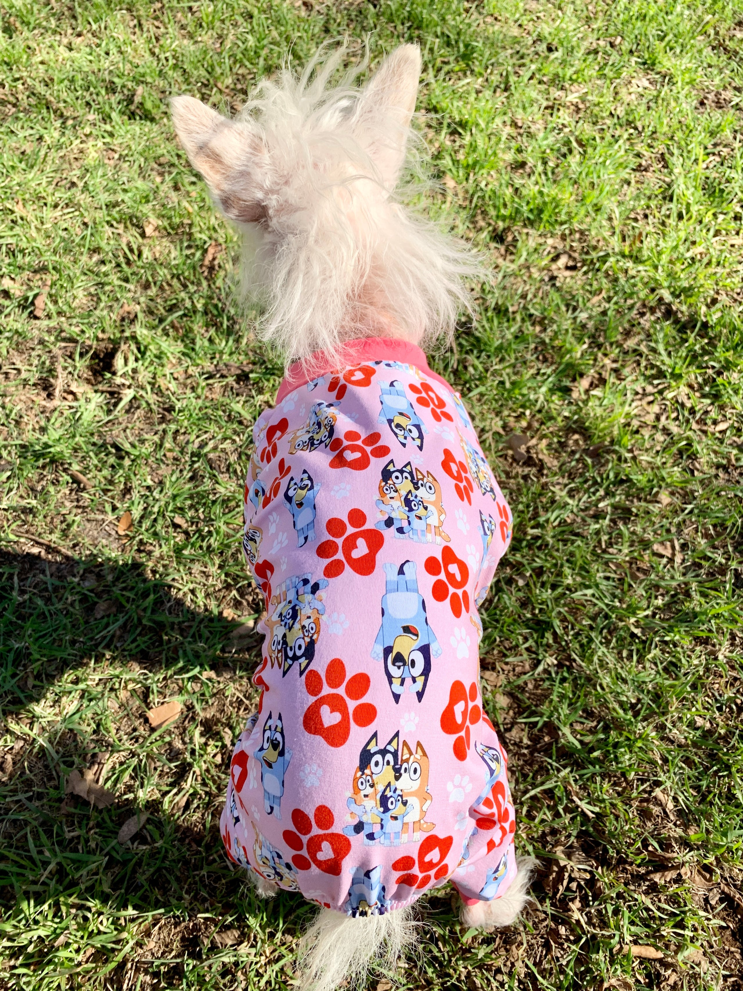 H H Pink Bluey Jammies